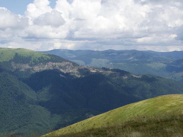 Karpatų kalnagūbriai ir pievos