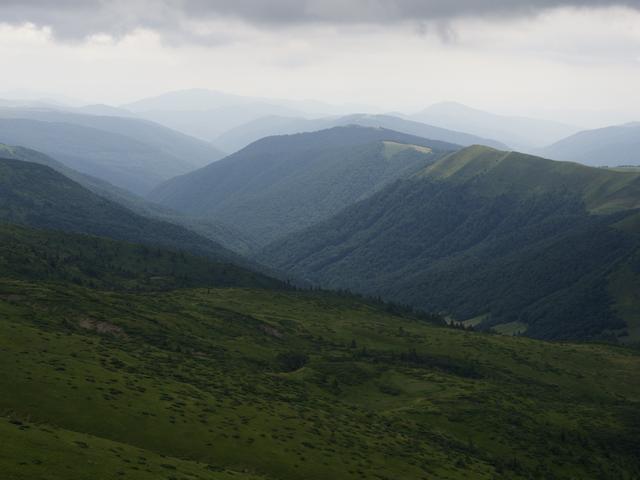 Rūkas kalnų slėnyje ryte