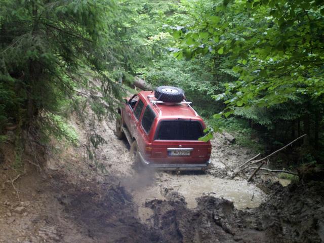 Raudonas Patrol kyla purvinu miško keliu