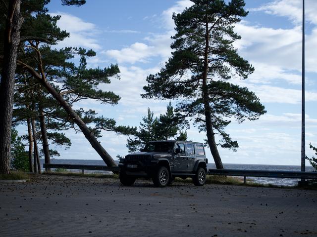 Wrangler pajūrio kelyje su pušimis