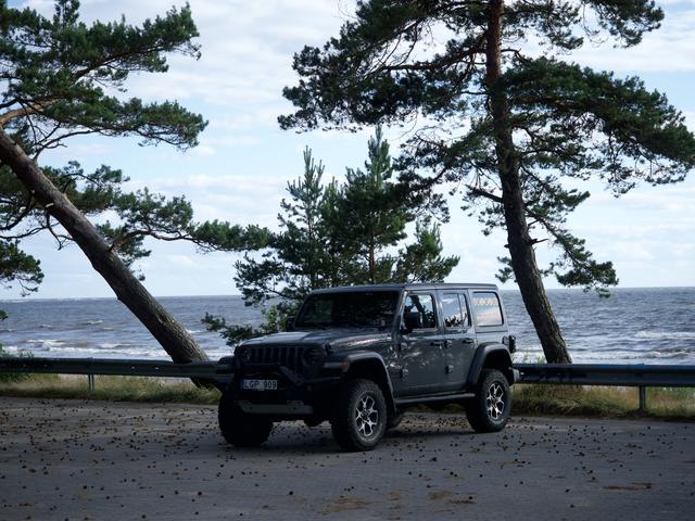 Wrangler po pajūrio pušimis prie vandens, 2020 m. liepa