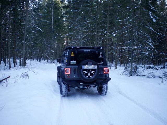 Wrangler iš galo apsnigtame eglyne